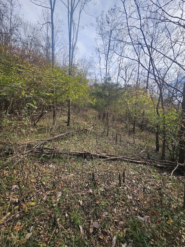 3714 Homeland Dr, Nashville, TN 37218 - photo 3