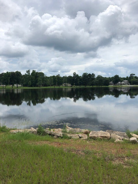 210 Fish Creek Thoroughfare, Montgomery, TX 77316 - photo 4