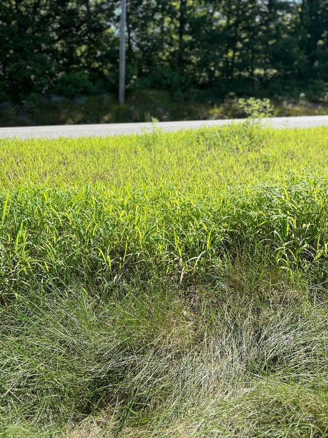 20A Wiscasset Rd, Pittston, ME 04345 - photo 4