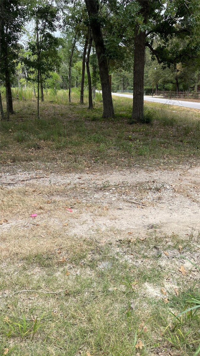 0000 Roberts Cemetary Rd, Hockley, TX 77447 - photo 2