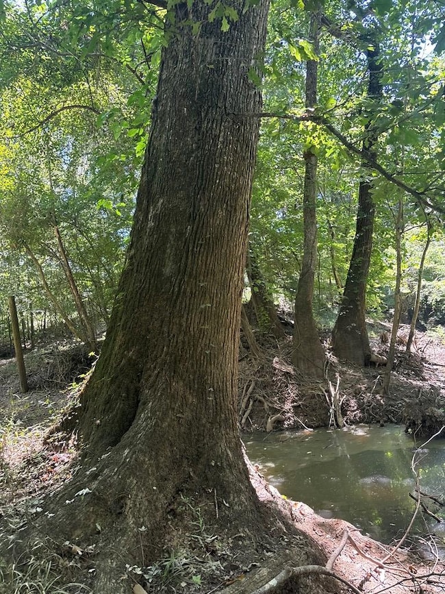 219 Chestnut Dr, Eastman, GA 31023 - photo 3