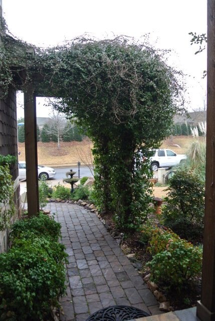 Jasmine arbor