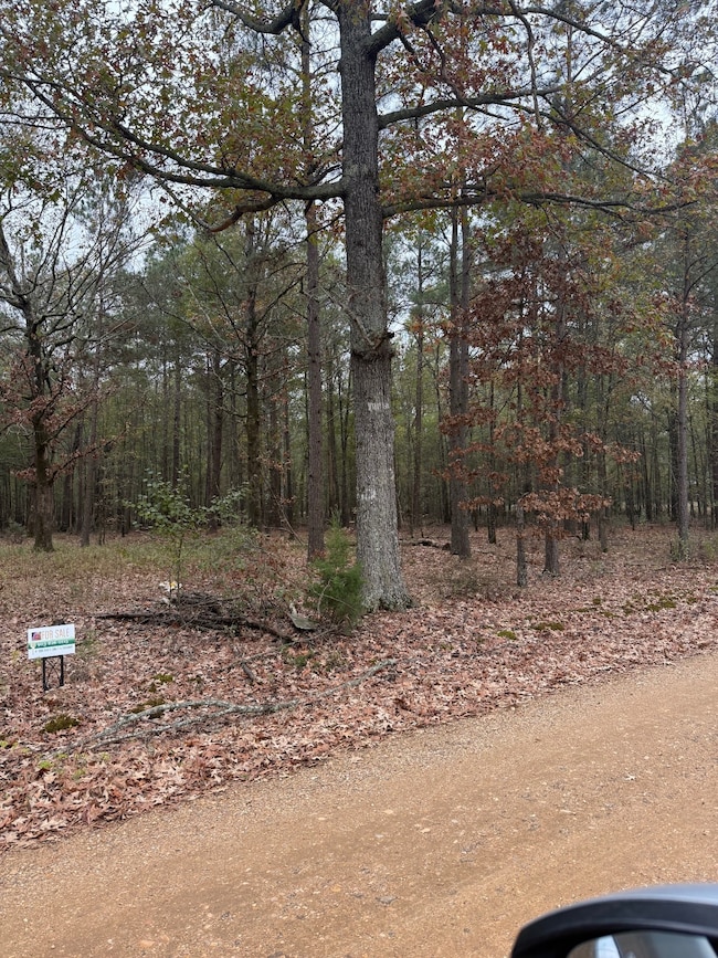 2031 Parkview Ave, Ashdown, AR 71822 - photo 2