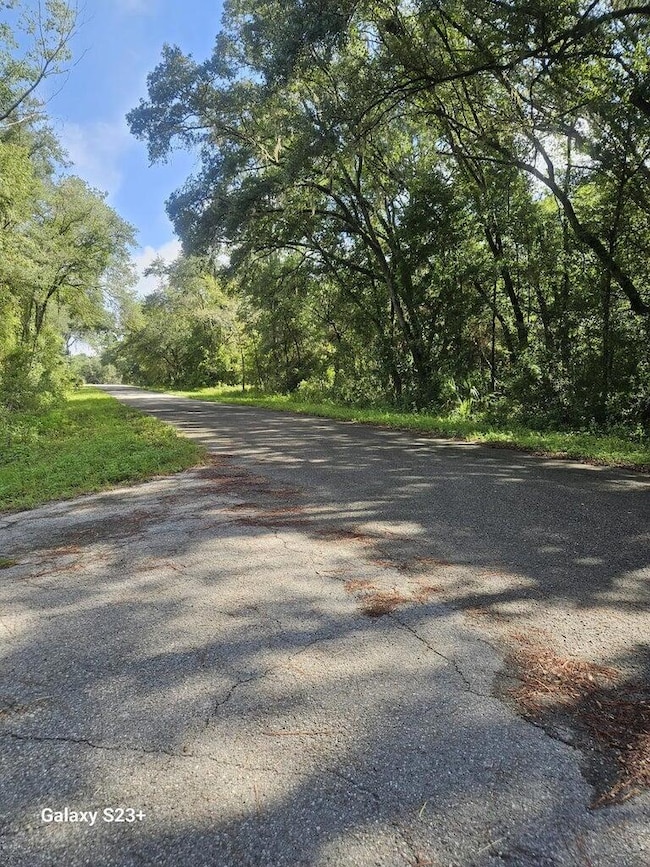 00 Upland Ave, Dunnellon, FL 34431 - photo 3