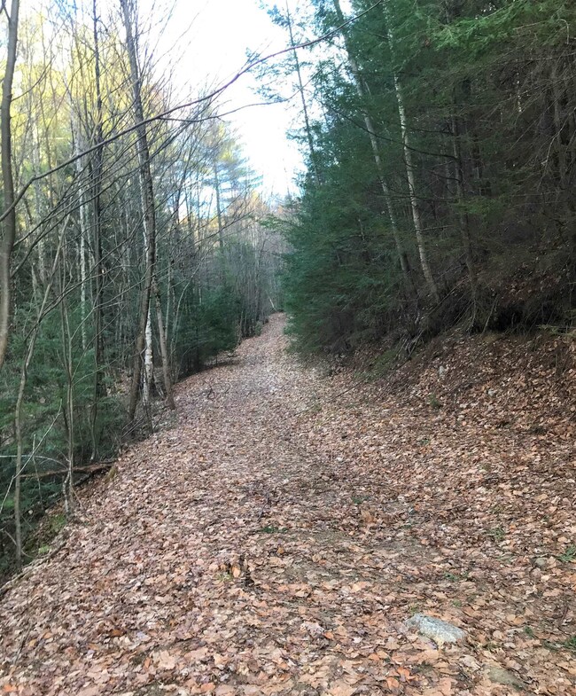 0 Rabbit Hollow Rd unit 4897770, Winchester, NH 03470 - photo 6