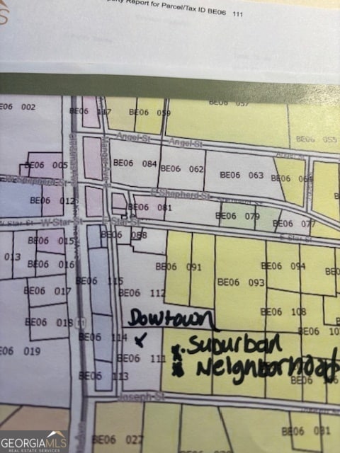 784 Manger Ave, Bethlehem, GA 30620 - photo 2