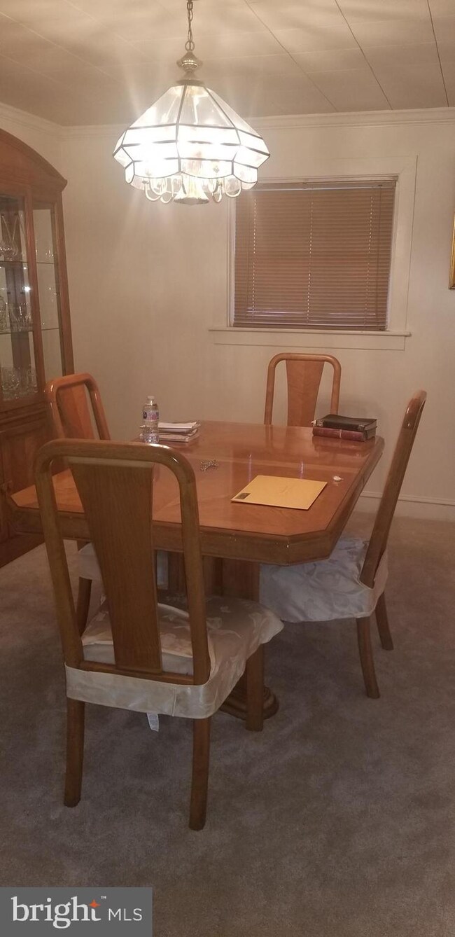 661 Rose St, Lansdowne, PA 19050 - photo 6