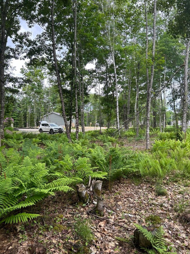 18 Shady Ln, Lisbon, ME 04250 - photo 6