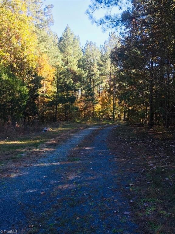 3250 Bethel Lucas Rd, Asheboro, NC 27205 - photo 3