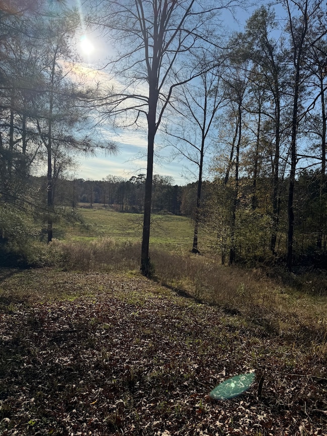 955 Fonsylvania Rd, Vicksburg, MS 39180 - photo 5