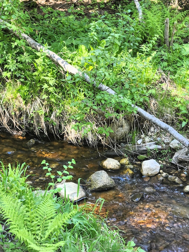Ruby Creek