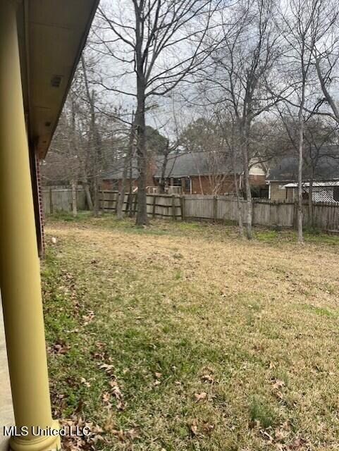 Back yard