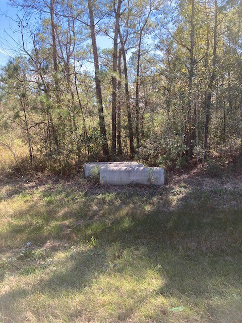 0 County Fair Dr, Hockley, TX 77447 - photo 6