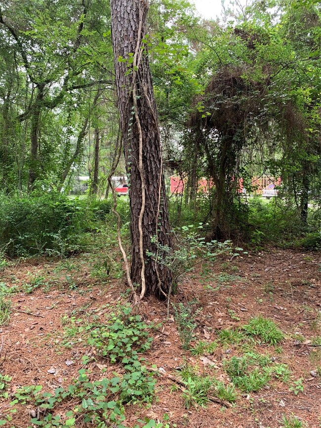 23906 Brushy Trails St, Hockley, TX 77447 - photo 4