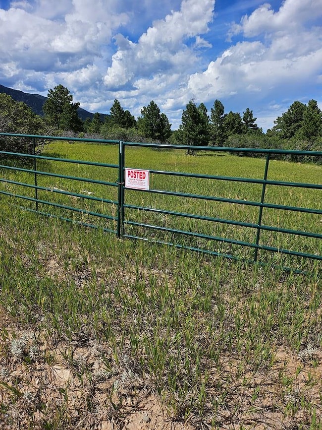 Property gate on south border