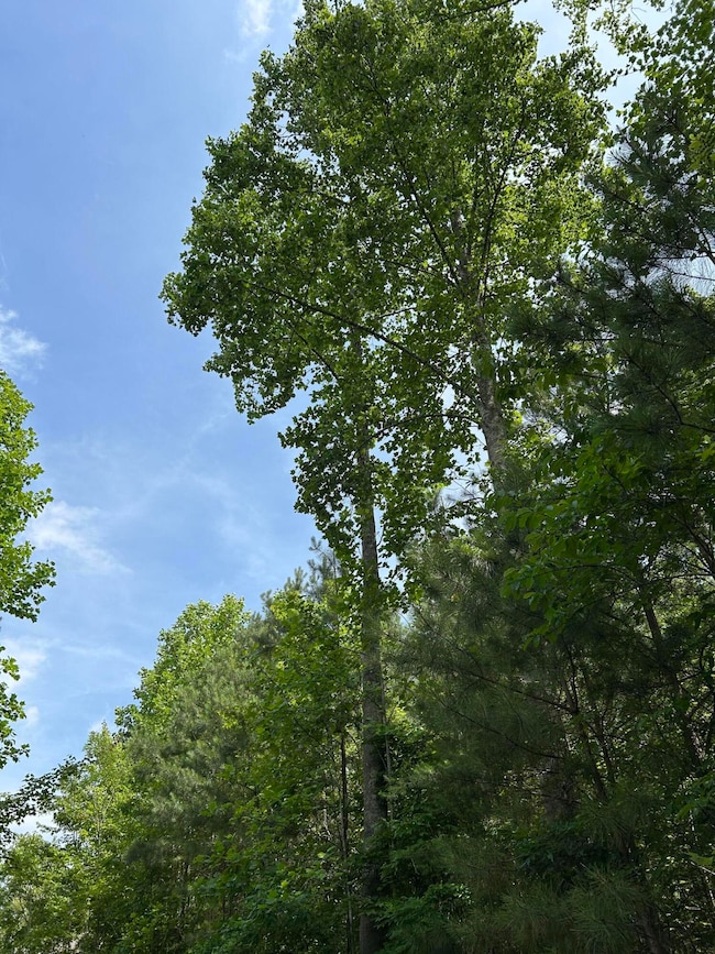 1255 Cherokee Path, Jasper, TN 37374 - photo 2