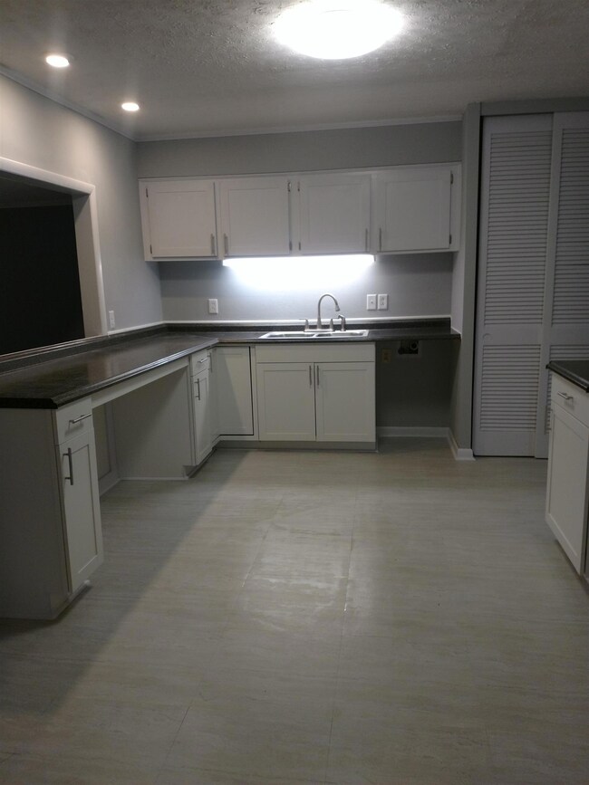 Open kitchen with all new cabinets and counter tops