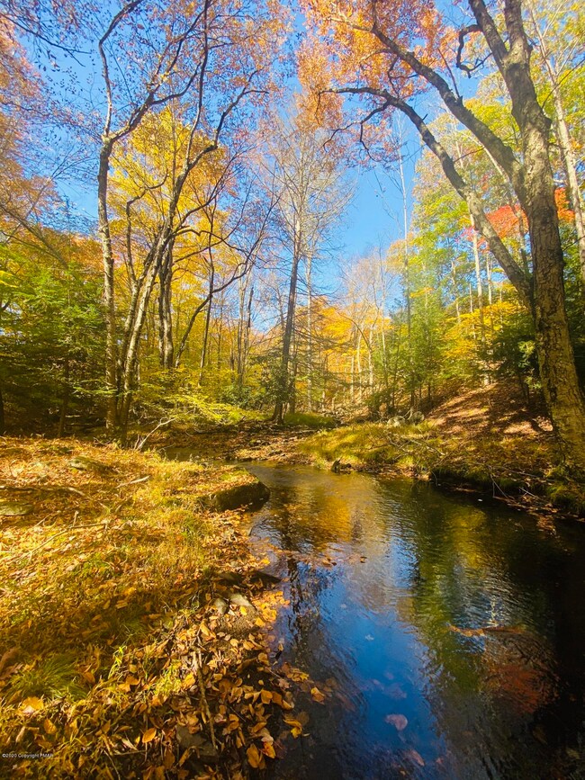 0 Mohican Rd unit PM-77144, Canadensis, PA 18325 - photo 5