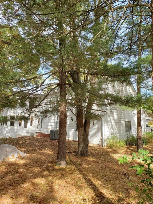 VIEW FROM BACK YARD