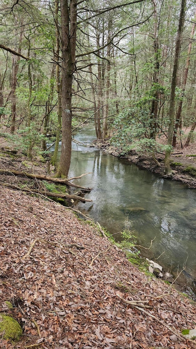 Lowe Stream