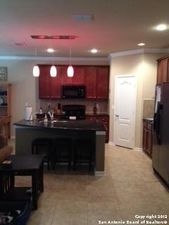 10607 Clover Canyon, Helotes, TX 78023 - photo 6