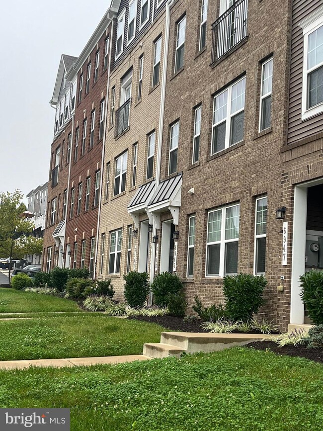 6943 Stoddert Ln, Hyattsville, MD 20785 - photo 6