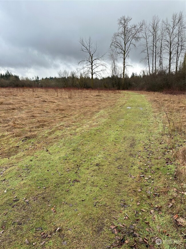 448 Meier Rd, Winlock, WA 98596 - photo 3