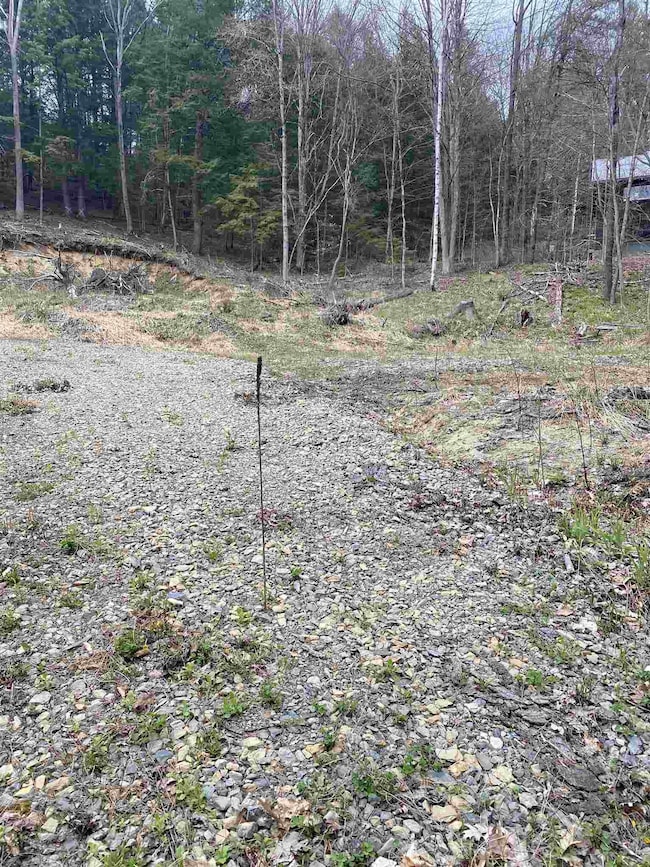 94 Shepardson Hollow Rd, Fairfax, VT 05454 - photo 3