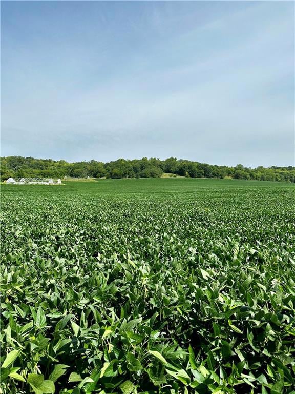 00000 Michals Rd, Leavenworth, KS 66048 - photo 4