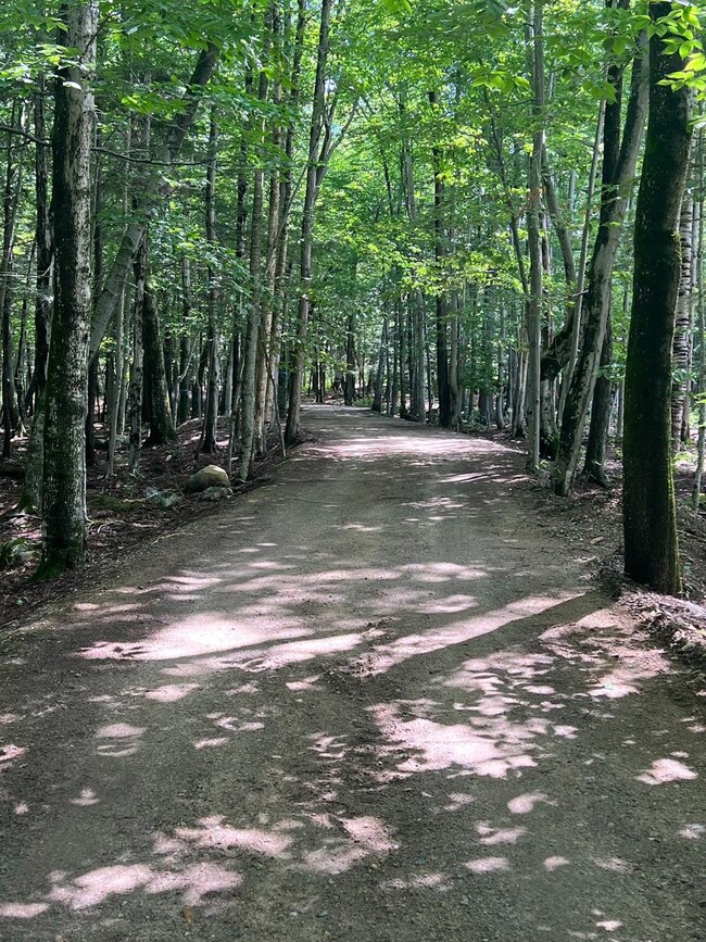 16 Old Long Island Rd unit 17, Moultonborough, NH 03254 - photo 3