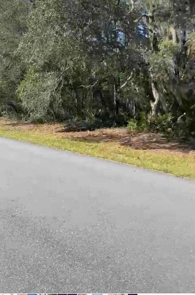 4017 SW 133rd Loop, Ocala, FL 34473 - photo 3