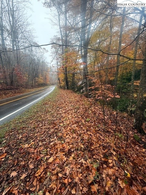 TBD N Old Hwy 16, Jefferson, NC 28640 - photo 4