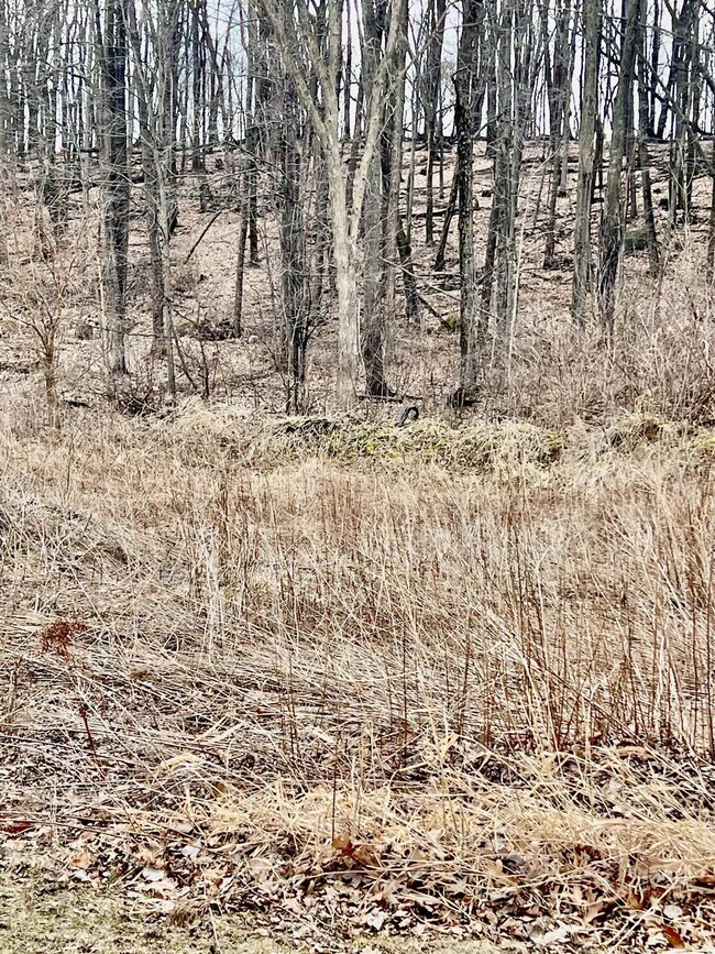 911 Buffalo Ridge Ln, Waupaca, WI 54981 - photo 4