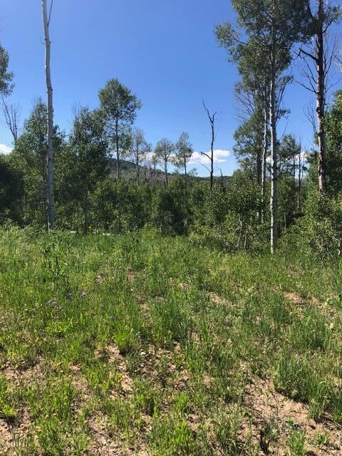 20 Acres Miners Peak Rd, Cedar City, UT 84720 - photo 4