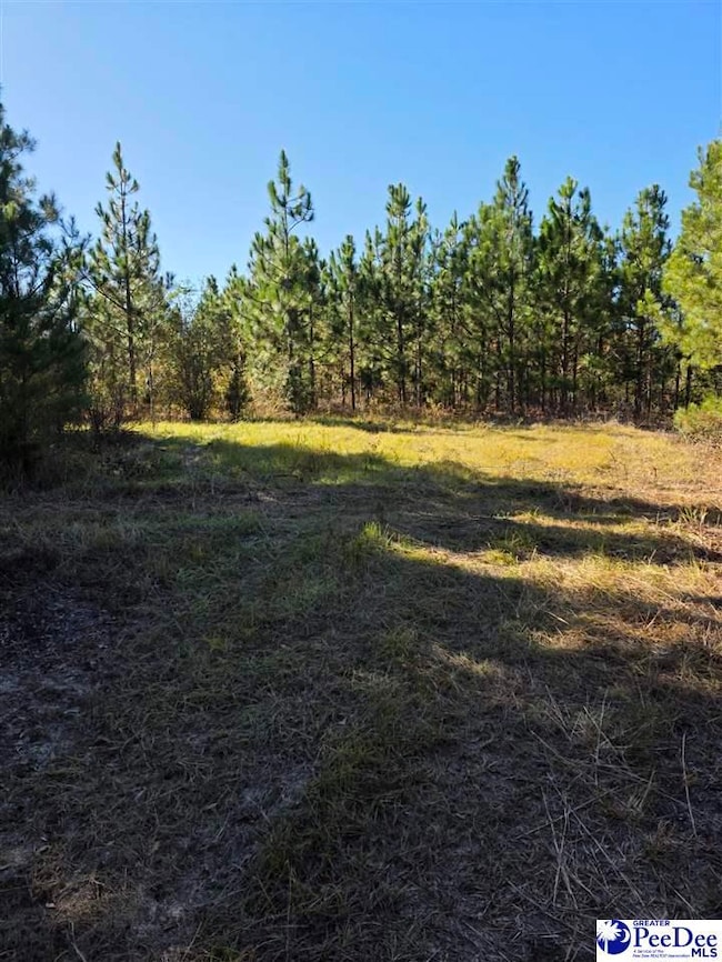 0000 S Carolina 265, Ruby, SC 29741 - photo 5