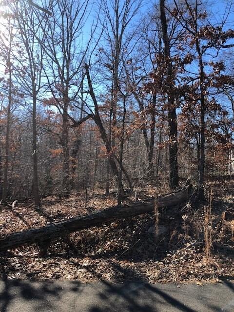 0 York (Leeds Ln) Dr unit 1100620, Bella Vista, AR 72714 - photo 4