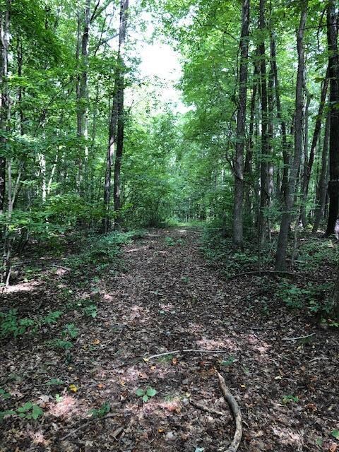 Trails