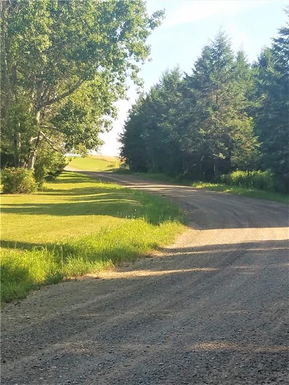 Beautiful country road to your new escape place