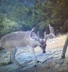 unlisted-address, Rocksprings, TX 78880 - photo 2