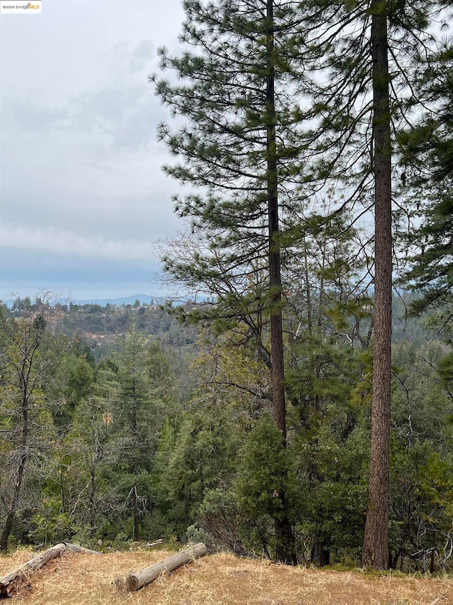 19262 Tanglewood Trail, Twain Harte, CA 95383 - photo 2