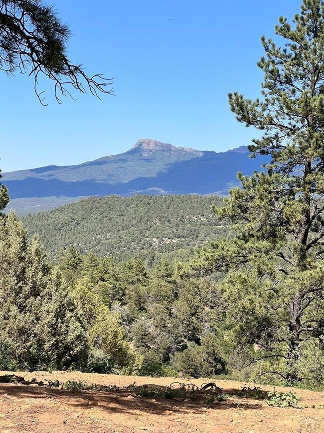 33020 Meadow Ct, Trinidad, CO 81082 - photo 6