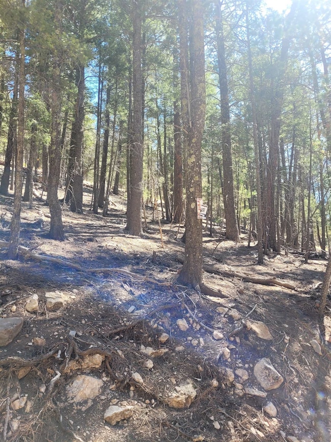 5 Forest View Rd, Cloudcroft, NM 88317 - photo 4