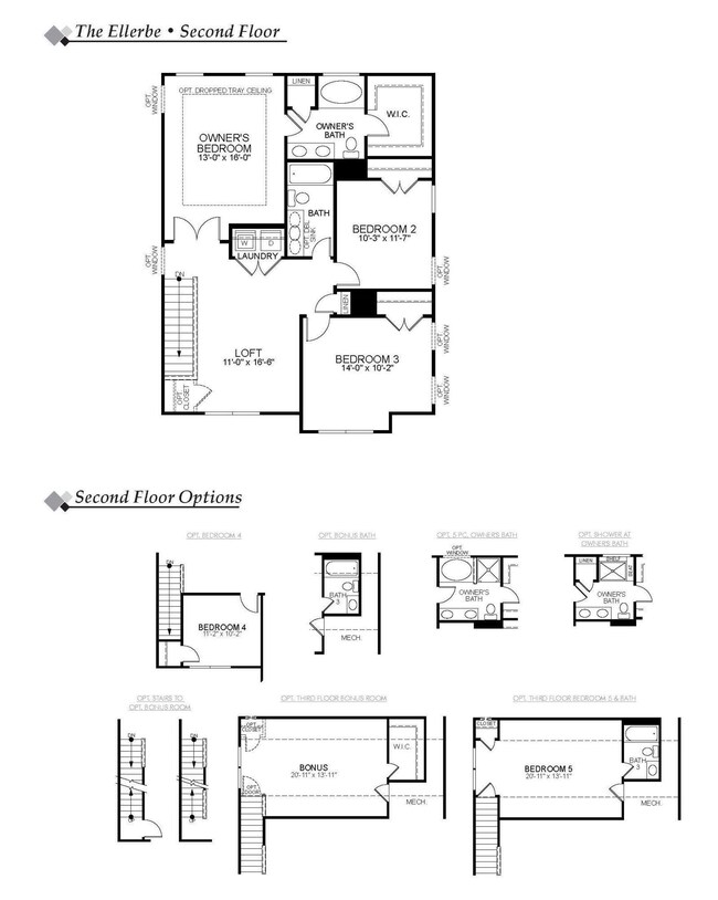 CHS - 7206 Ellerbe - FL 2nd Floor