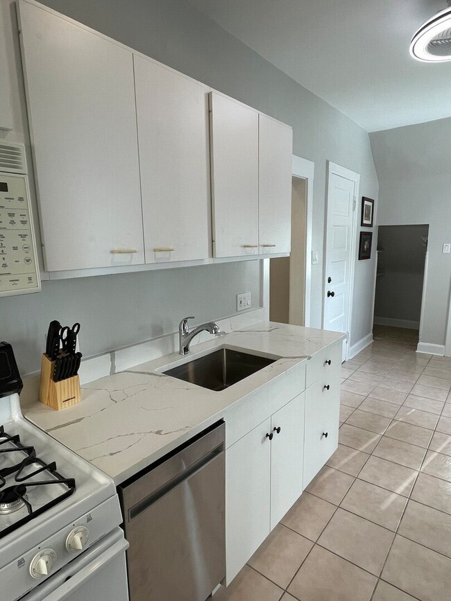 433 Wisconsin Ave unit 3, Oak Park, IL 60302 - photo 3