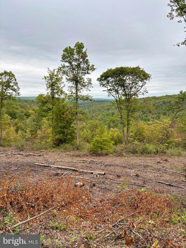 2500 Beech Creek Mountain Rd, Beech Creek, PA 16822 - photo 4