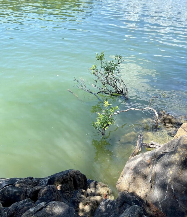 0 Sky Way, Dandridge, TN 37725 - photo 7