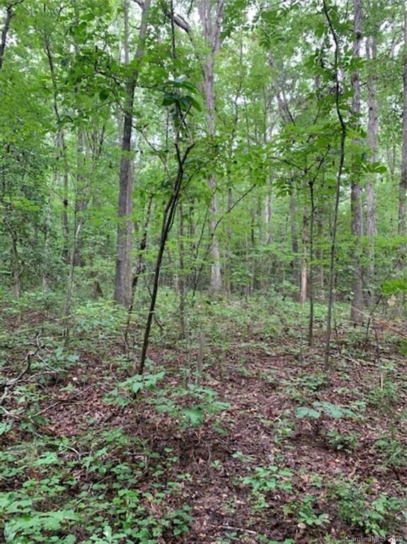 TBD Arabian Dr unit 82-83, Cedar Grove, NC 27205 - photo 5