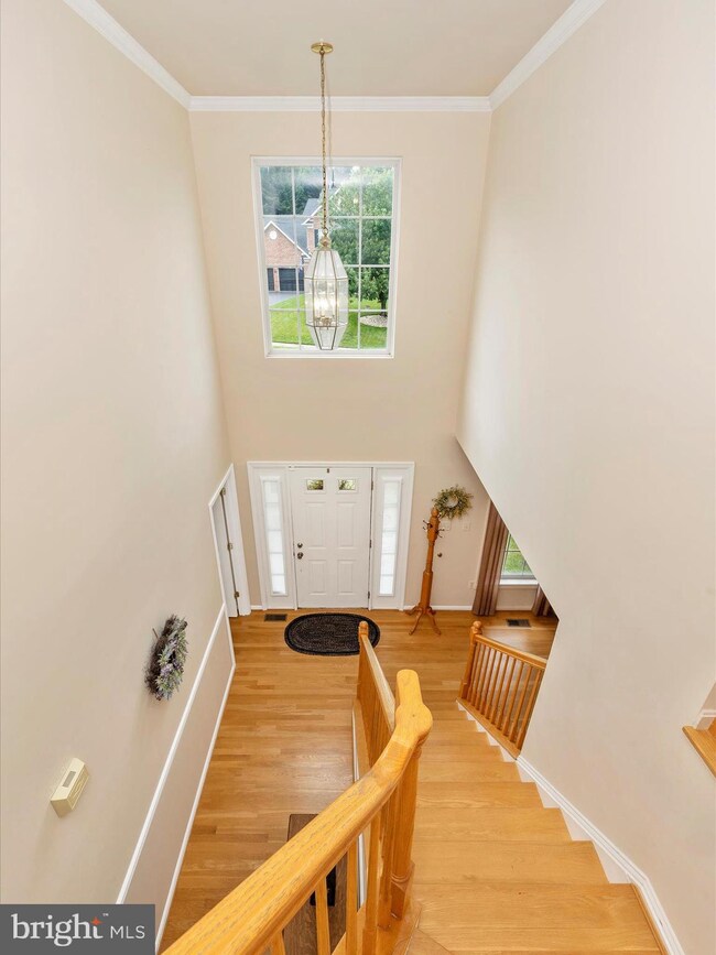 2408 Steepleview Ct, Frederick, MD 21702 - photo 5