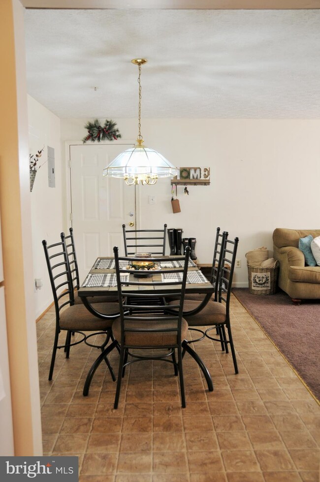 145 Hensel Dr, Shepherdstown, WV 25443 - photo 4