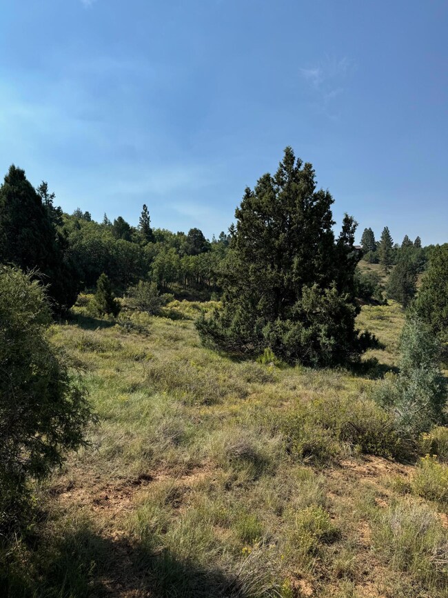 2450 Manitoban Trail, Alton, UT 84710 - photo 7